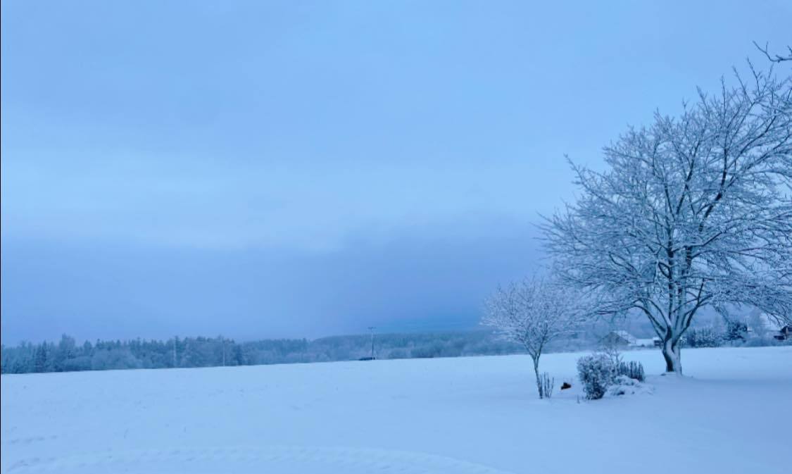 607132553_1526121362234222_6625730261134103276_n 607132553_1526121362234222_6625730261134103276_n