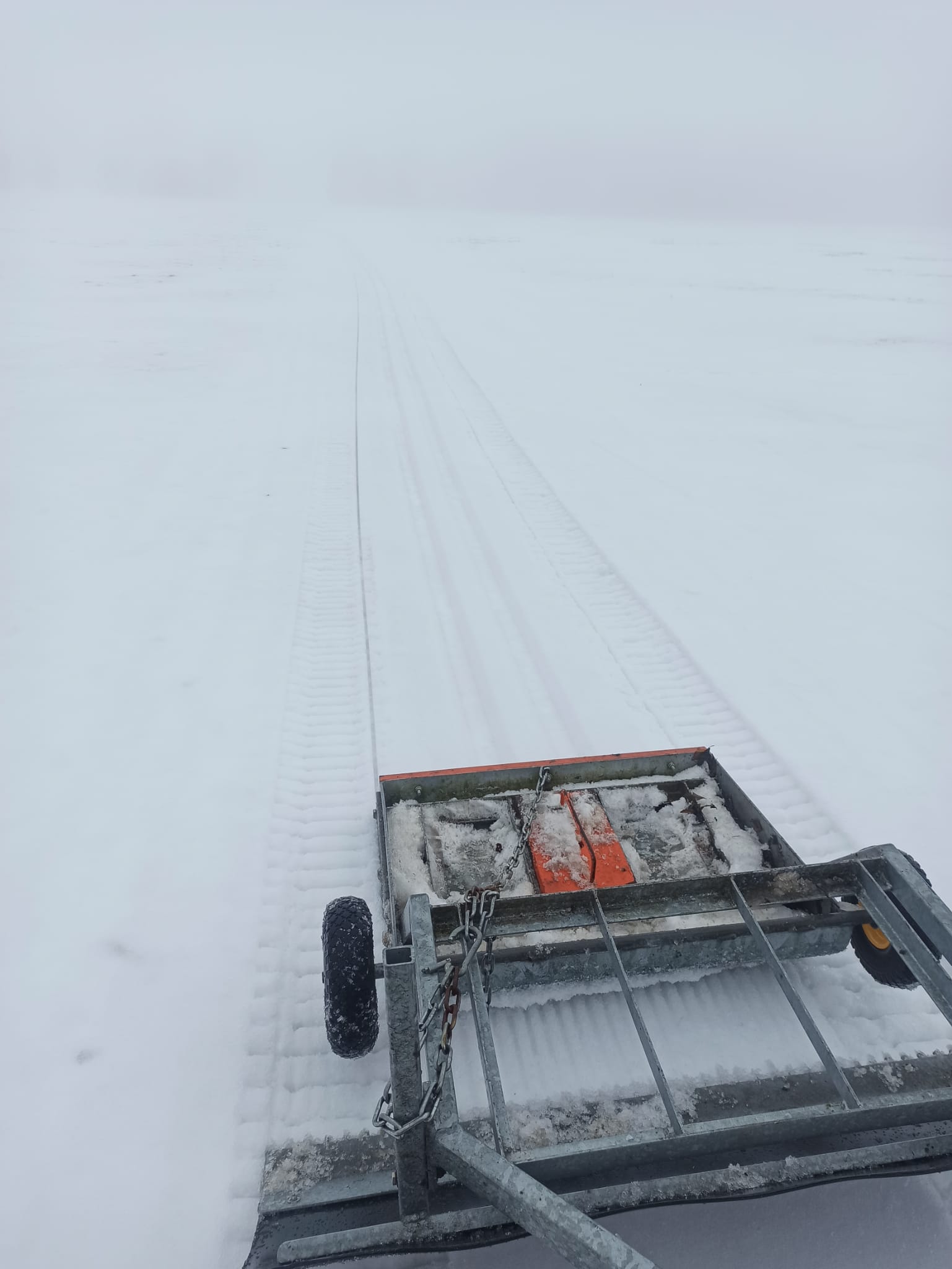 Photo-2026-01-17-10-16-101 Photo-2026-01-17-10-16-101